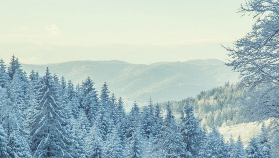Ain't No Mountain High Enough - Poland's top winter destinations