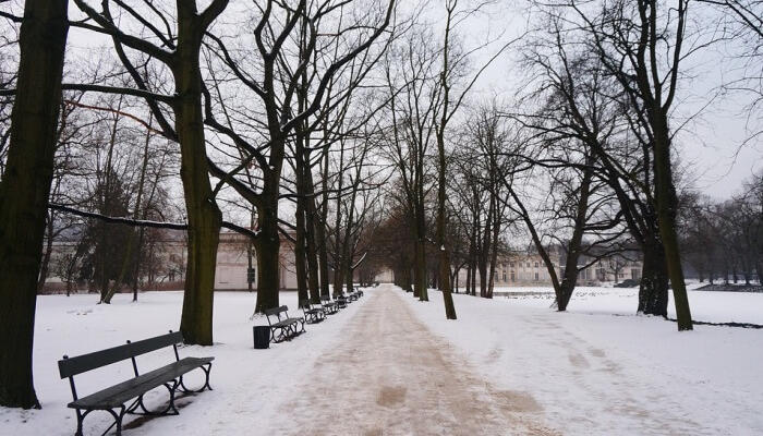 Winter in the city - how to enjoy February in Poland?